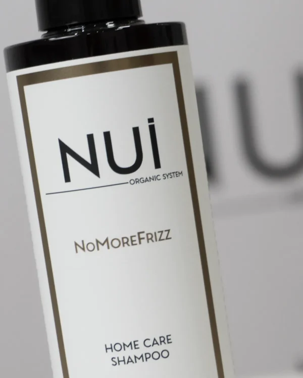 Champú anti frizz NoMoreFrizz para mantener el alisado 250 ml